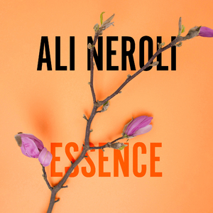 青青视频精品观看视频
