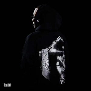 青青视频精品观看视频
